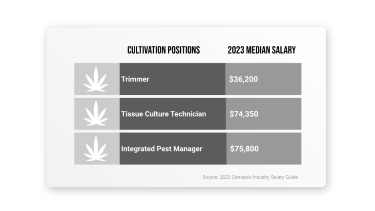 Cultivation Position average salary