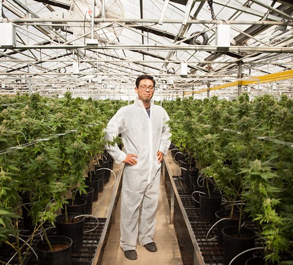 Cannabis Career Resource